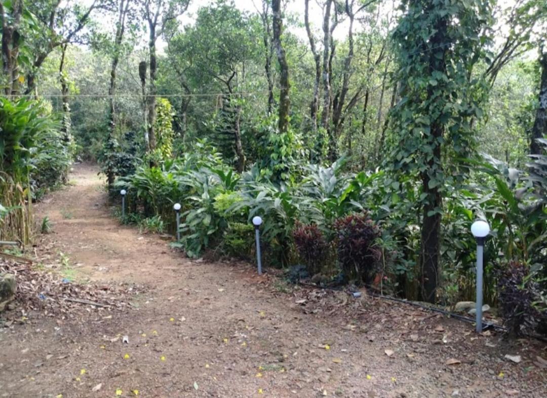 Tharayil Farm Stay Вагамон Екстериор снимка
