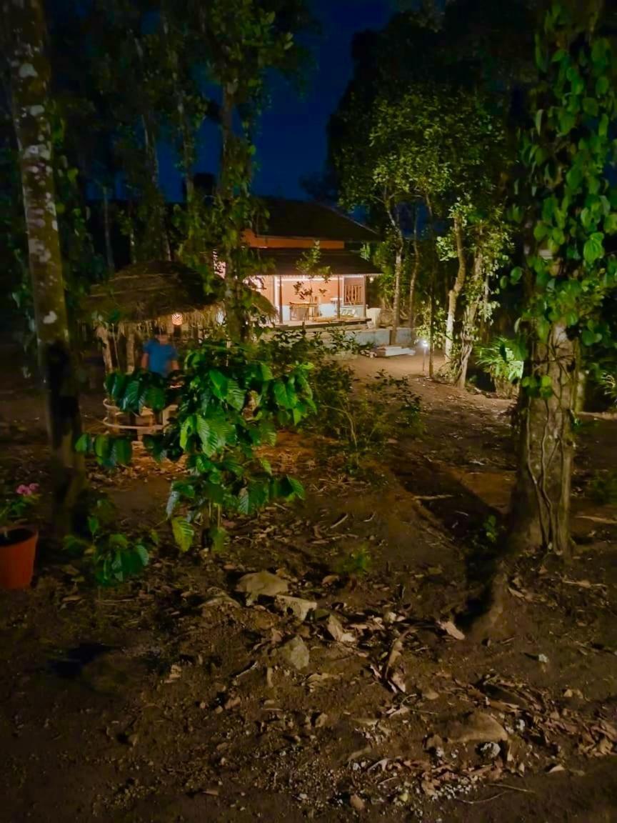 Tharayil Farm Stay Вагамон Екстериор снимка